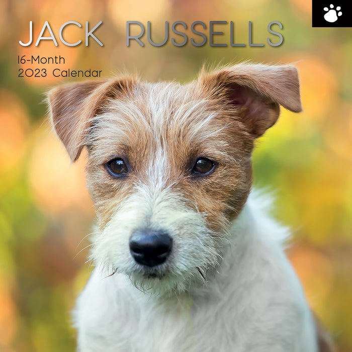 The Gifted Stationary Company 2023 Square Wall Calendar - Jack Russells