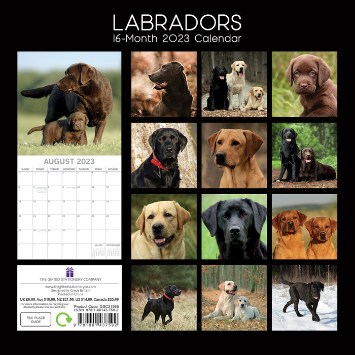 The Gifted Stationary Company 2023 Square Calendar - Labradors