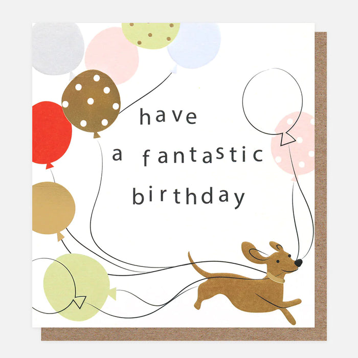 Caroline Gardner Have A Fantastic Birthday - Sausage Dog Birthday Card