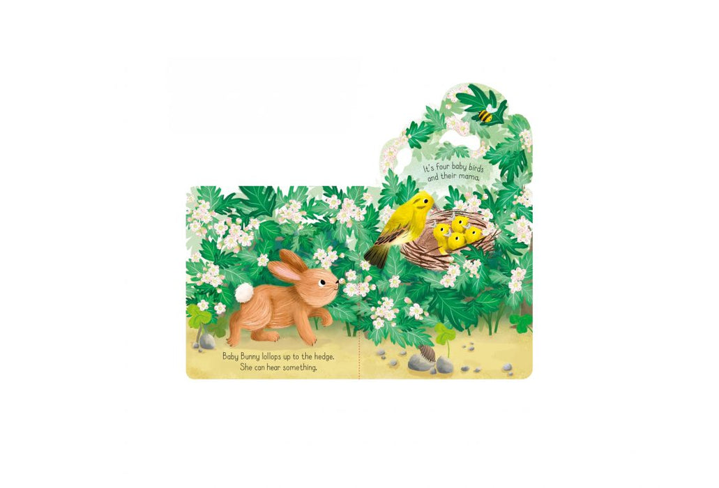Usborne Little Lift and Look Baby Bunny
