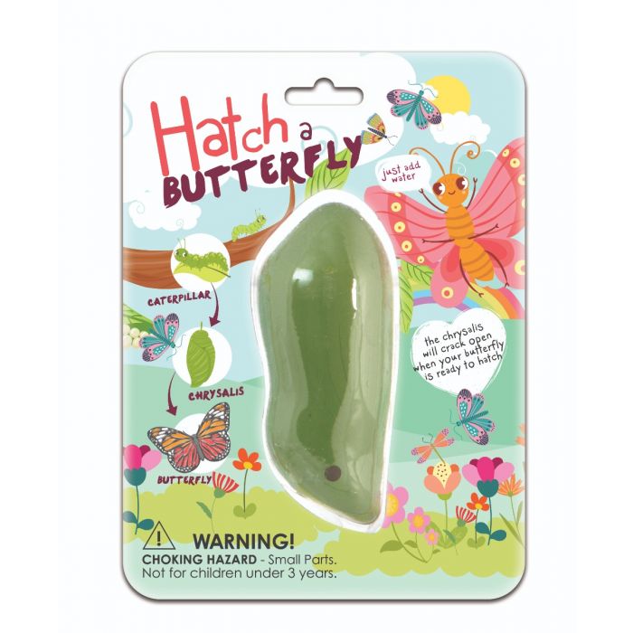 Hatch A Butterfly Book