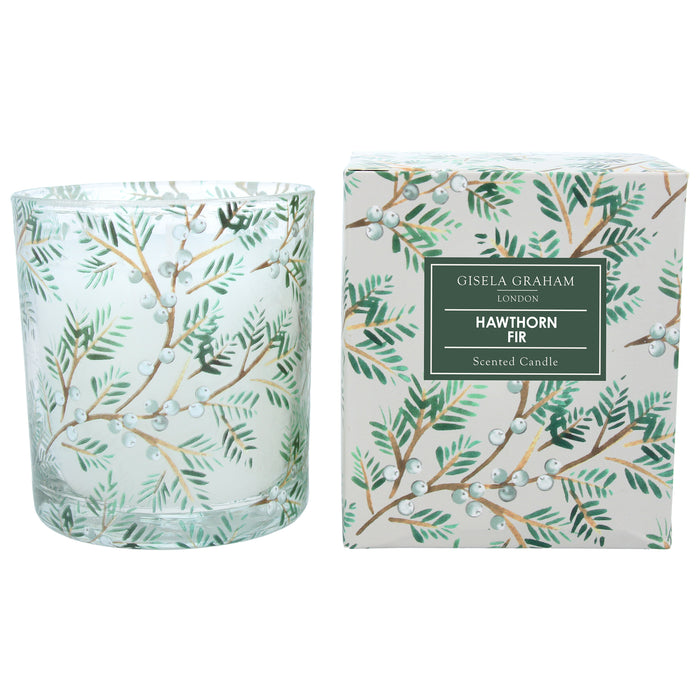 Gisela Graham Fir Twig White Berries Boxed Candle
