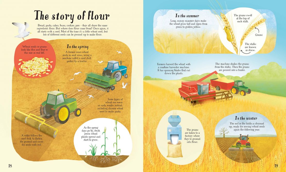 Usborne It All Starts with a Seed