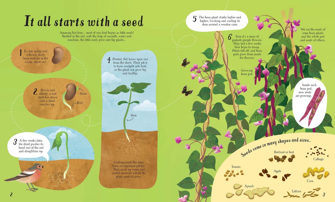 Usborne It All Starts with a Seed