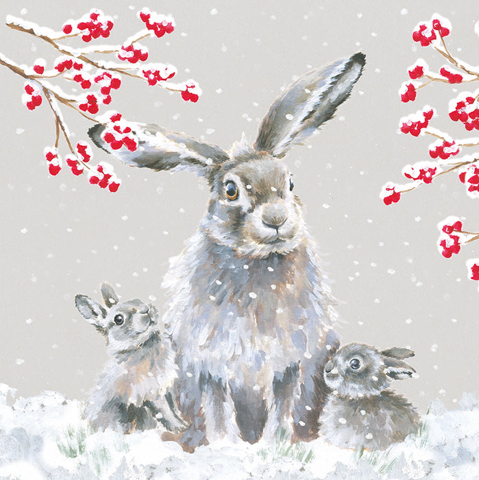 Wrendale 'Snowfall' Luxury Boxed Christmas Cards