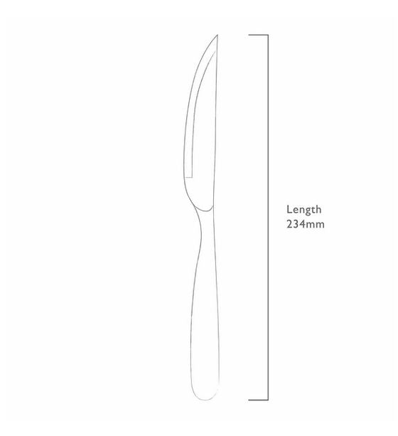 Robert Welch Stanton Satin Steak Knife, Set of 4