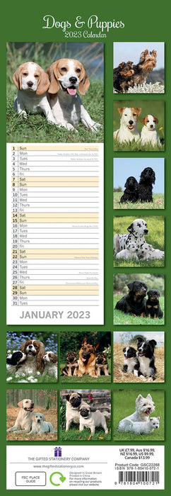 The Gifted Stationary Company 2023 Slimline Calendar - Dogs & Puppies