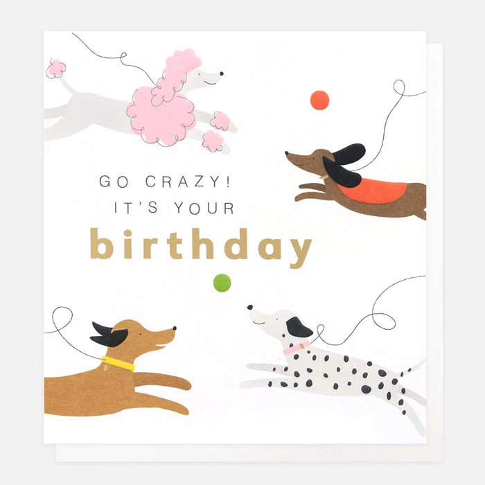 Caroline Gardner Chasing Dogs Birthday Card
