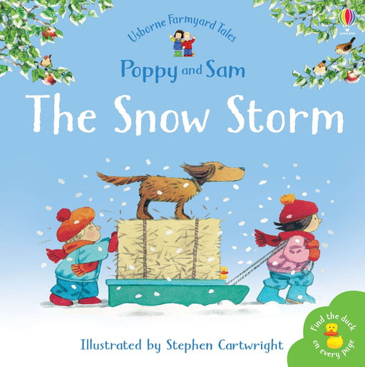 Usborne Poppy & Sam The Snow Storm Book