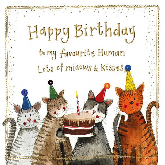 Alex Clark Happy Birthday From The Cat Card