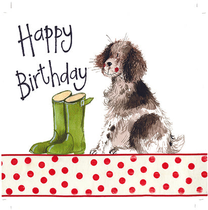 Alex Clark Springer Spaniel Dog Birthday Card