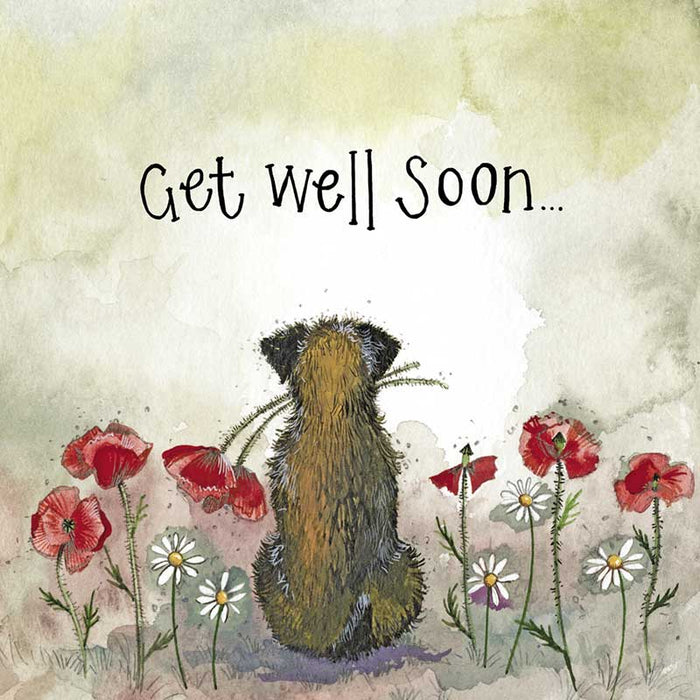 Alex Clark Starlight Border and Poppies Get Well Soon Card