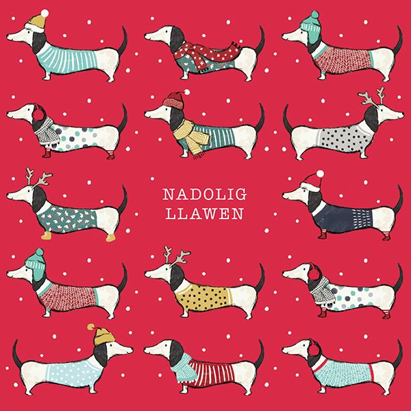 Art File Nadolig Llawen Sausage Dog Pack Of Welsh Christmas Cards