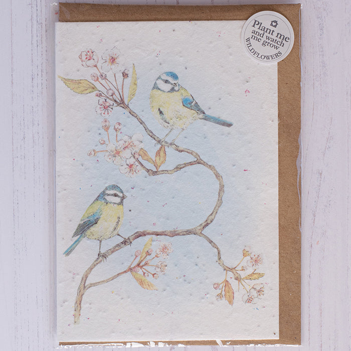Mosney Mill Blue Tit & Blossom Plantable Seed Card