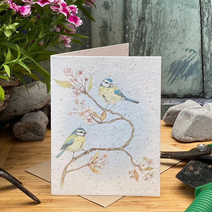 Mosney Mill Blue Tit & Blossom Plantable Seed Card