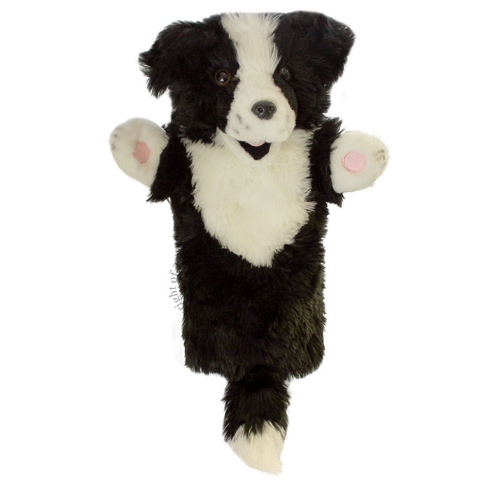 The Puppet Company Long Sleeved Glove Puppet - Border Collie