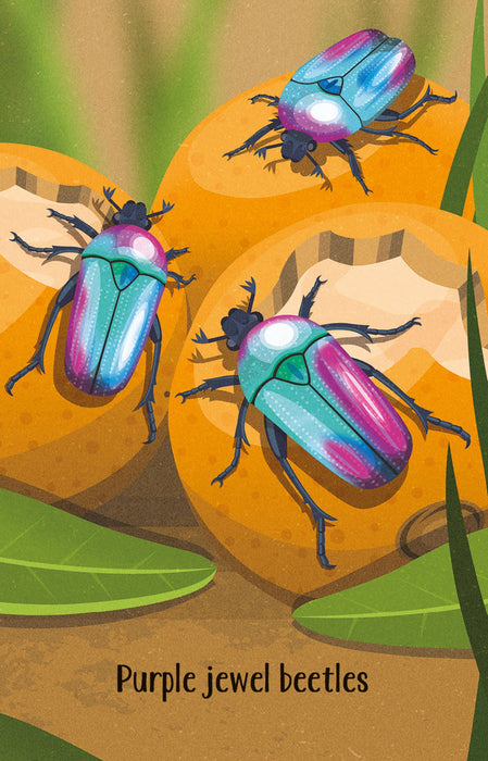Usborne Bugs Snap Cards