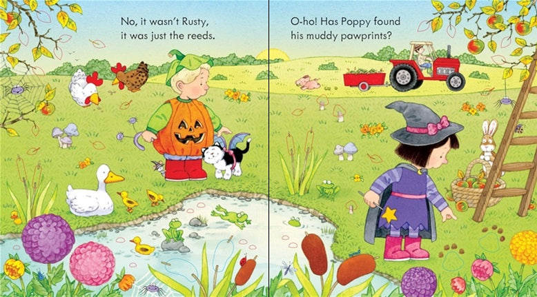 Usborne Poppy and Sam's Halloween party Book