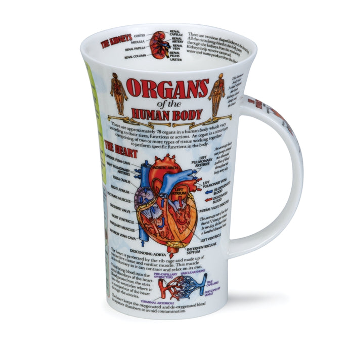 Dunoon Glen Organs of the Human Body Mug