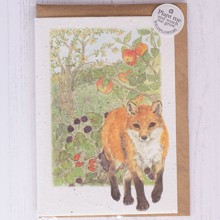 Mosney Mill Fox & Hedgerow Plantable Seed Card