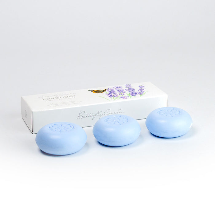 White Rose Aromatics 30g Soap x 3 in Box Lavender