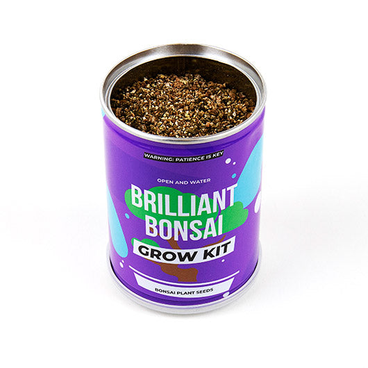 Grown Tin - Brilliant Bonsai