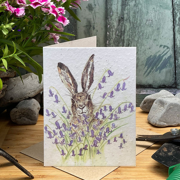 Mosney Mill Hare & Bluebell Plantable Seed Card