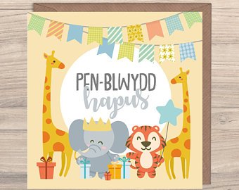 Max Rocks Designs Penblwydd Hapus - Welsh Happy Birthday Card