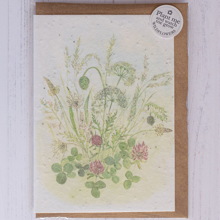 Mosney Mill Meadow Sweet Plantable Seed Card