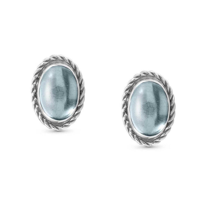 Nomination Silver & Light Blue Topaz Oval Earrings