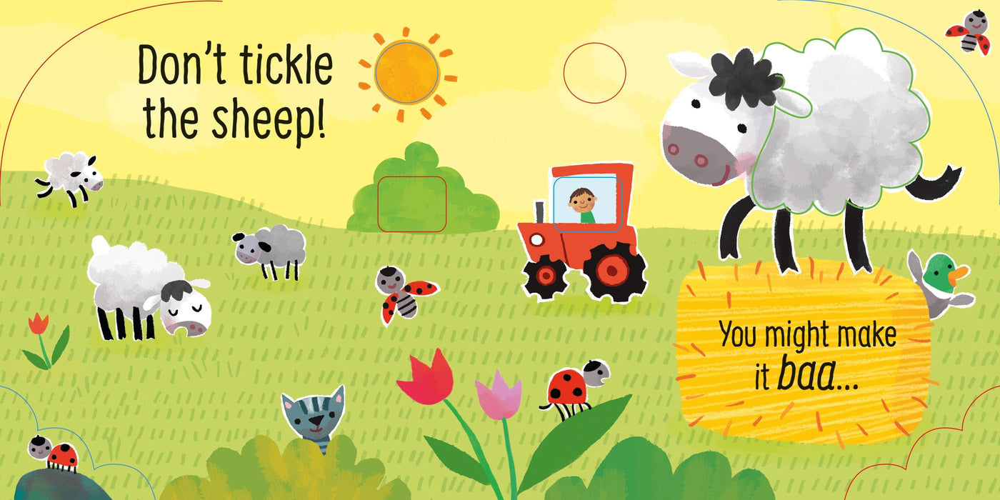 Usborne Don't Tickle the Pig! Book