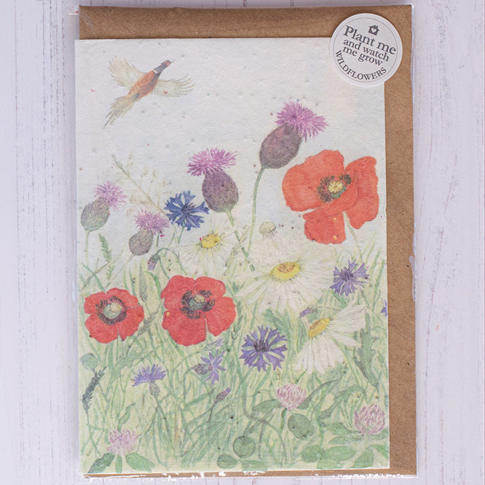 Mosney Mill Poppy Meadow Plantable Seed Card