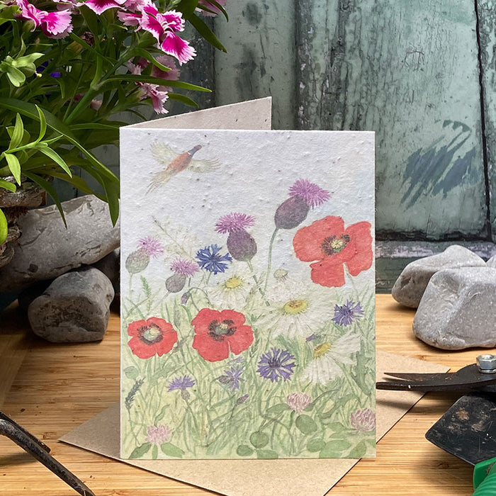 Mosney Mill Poppy Meadow Plantable Seed Card