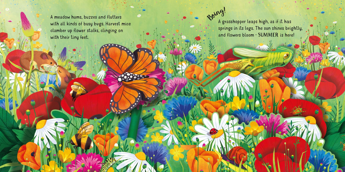 Usborne Pop-up Seasons Book