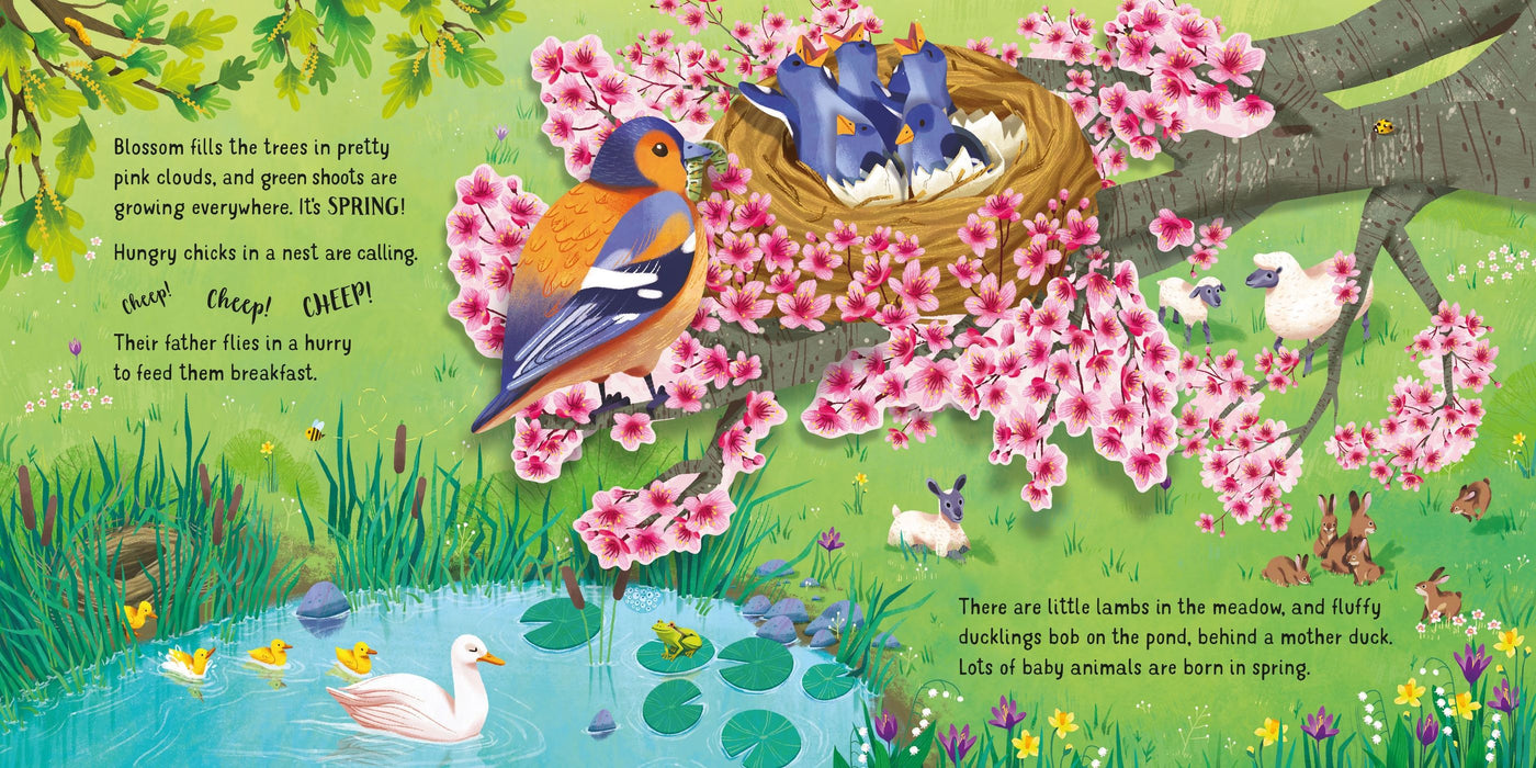 Usborne Pop-up Seasons Book