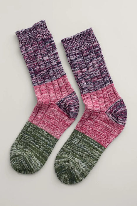 Seasalt Women's Bloomin Good Socks Late Light Echinacea
