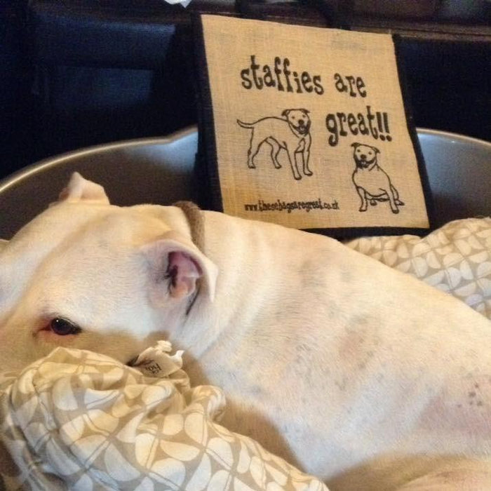 These Bags Are Great - Staffies