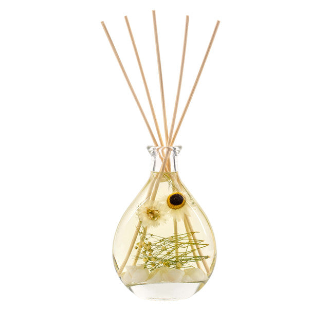 Stoneglow Nature's Gift Beach Daisy Reed Diffuser