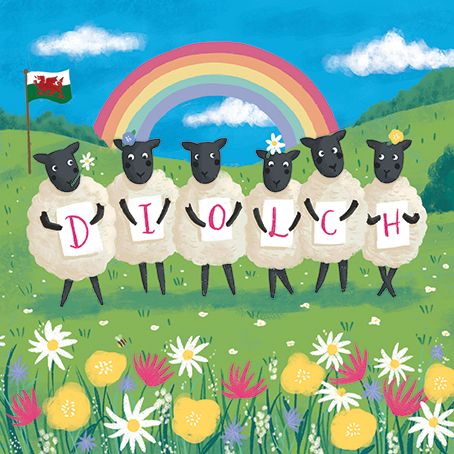 The Paintbox Sheep 'Diolch' (Thanks) Welsh Card