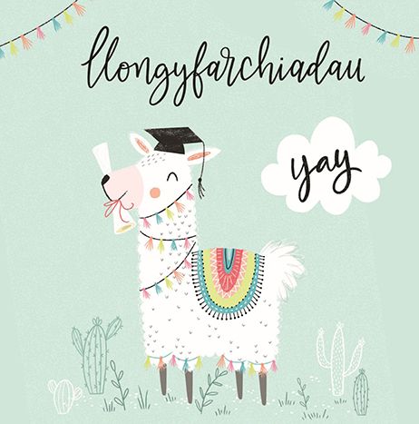 The Paintbox Llama 'Llongyfarchiadau' (Congratulations) Graduation Welsh Card