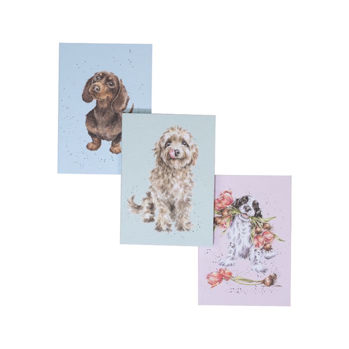 Wrendale Designs 'A Dogs Life' Set of 3 Notebooks