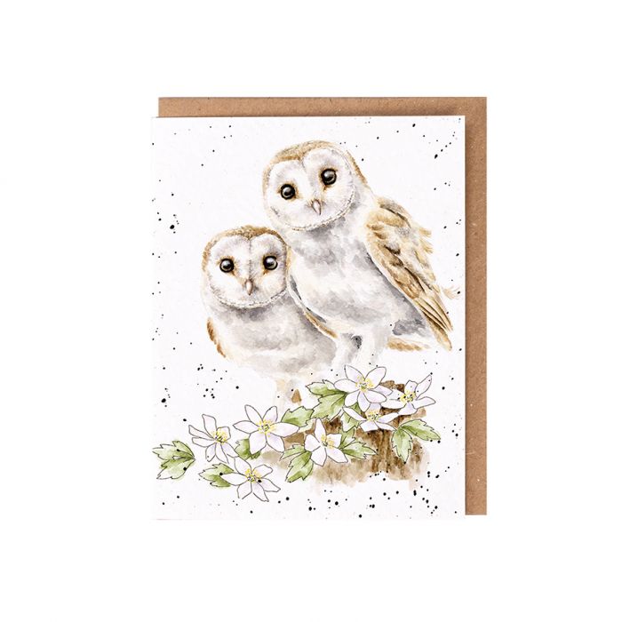 Wrendale Designs 'Hooting For You' Owl Seed Card