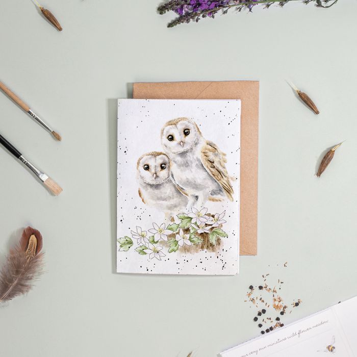 Wrendale Designs 'Hooting For You' Owl Seed Card