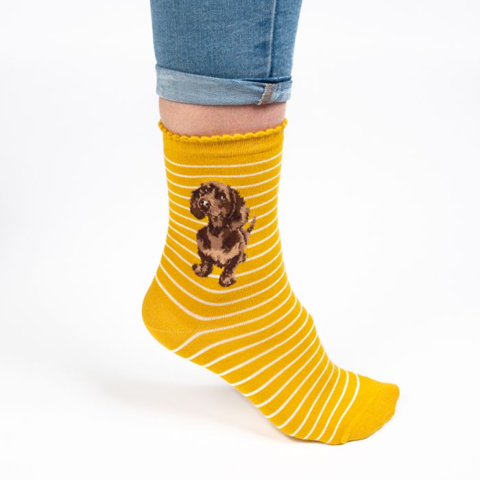 Wrendale Designs 'Little One' Dachshund Socks