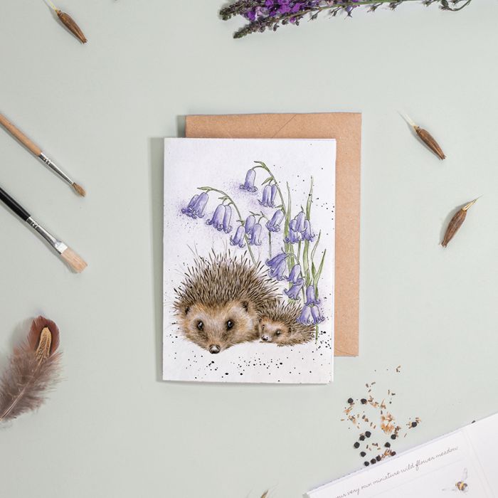 Wrendale Designs 'Love and Hedgehogs' Hedgehog Seed Card