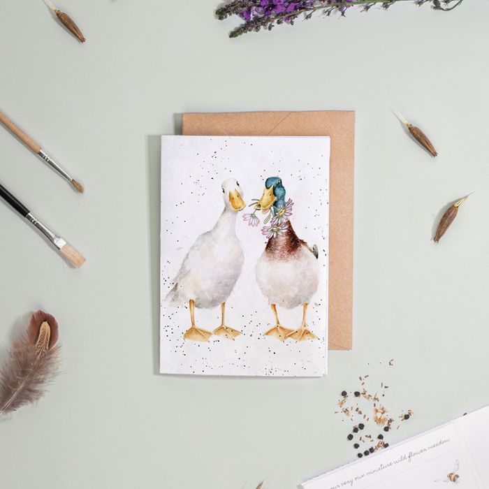 Wrendale Designs 'Not A Daisy Goes By' Duck Seed Card