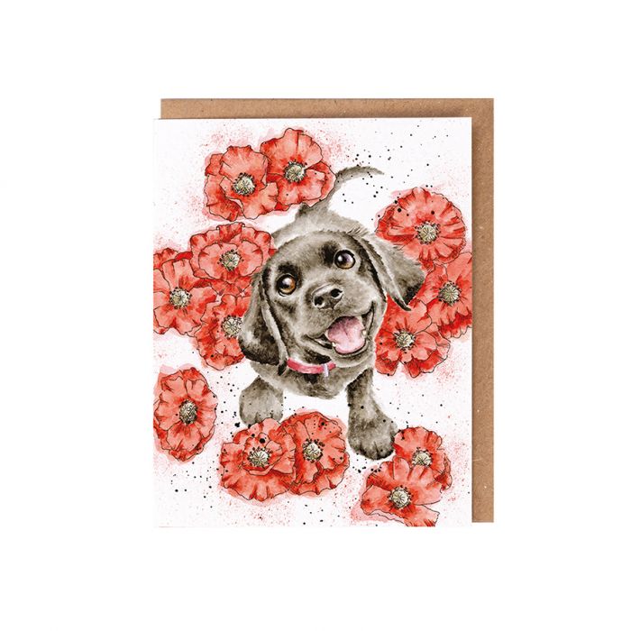 Wrendale Designs 'Poppy Love' Labrador Seed Card