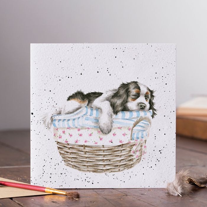 Wrendale Designs 'Wash, Dry, Fold, Repeat' Spaniel Card