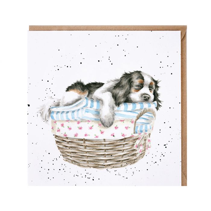 Wrendale Designs 'Wash, Dry, Fold, Repeat' Spaniel Card