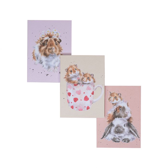 Wrendale Designs 'Whiskers and Paws' Guinea Pig and Hamster Set of 3 Notebooks